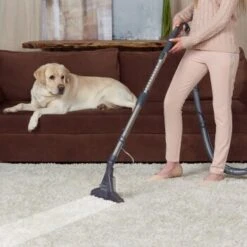 THOMAS DryBox Amfibia Pet -Catit Verkaufsgeschäft 9953282c61e03abd8b9e8af05edae29417570062 1406734 de DE 1c8fb73e21f9aae62063930fedd2d58afb94e8aanSOWPf