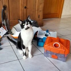 THOMAS Staubsauger -Catit Verkaufsgeschäft 9c1c711bdc998f487ed8c24bc96dc66adbb9a8a0 1406733 de DE c0788b12d8ca7e012c5c5d1a7cf9568fa3623544LvViH7