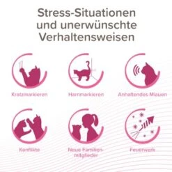 Beaphar CatComfort Excellence Nachfüll-Flakon Für Verdampfer 18 Beaphar CatComfort Excellence Nachfüll-Flakon Für Verdampfer -Catit Verkaufsgeschäft aa6740035f99902181a1da29aff4eee13880e36f 1416647 1 2