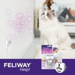 Feliway Help! 7 Tage Start-Set Zur Vorbeugung Von Stress -Catit Verkaufsgeschäft af221c57f6ccc9e6f3f372e52503a2d7b9cf22d4 1380136 5