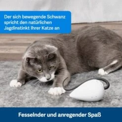 PetSafe Automatisches Katzenspielzeug RoloRat -Catit Verkaufsgeschäft b65e953878b463eb5125c940634b84e8b7c79a3f 1351522 de DE 3daf7dbb27d01ce7d63f06677a32dd6cde28abb9X2tLJP