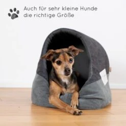 KaraLuna Katzenhöhle 12 KaraLuna Katzenhöhle -Catit Verkaufsgeschäft b9e0f78e84940fe27a91248cd7c8880bf5f0129d 1407464 de DE 9a2a2969f12da9c95b07df8a19892b19411f8b3d9QK17z