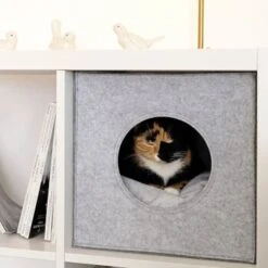 Lionto Katzenhöhle Aus Filz + Kissen - Regalhöhle Hellgrau -Catit Verkaufsgeschäft ba38cb426515f287554cca1376691e8fc1f2c06c 1657087 de DE 1787a06f3e708c0b40c07cda94f11d1c11828f21AhrPBZ