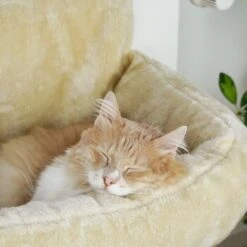 Schlitzohr Heizungsliege Lucky Beige -Catit Verkaufsgeschäft bdc02033928d033279e49ebefe91371e629dfd2f 1484673 de DE 4daf09016934a9074c92f48c173e840fa6385a4agwWEjb