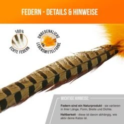 Schlitzohr Federwedel Birdy 3er Pack -Catit Verkaufsgeschäft bdc9ecaec43f47b36019280ae7e788c534174412 1659562 de DE 36b11fb8804ed0ab3e1a5483fcd8be597379266daxQShR