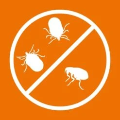 Ardap Spot-On Für Katzen S 14 Ardap Spot-On Für Katzen S -Catit Verkaufsgeschäft c00afedd838d70c54a5287206443466647f5dedf 1150895 de DE 216402434a597a152b5e3e2d02d3c041c3a61282I3NWL5