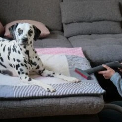 THOMAS AQUA+ Pet & Family -Catit Verkaufsgeschäft c3381bf4158feb85ebfd3f3d8bb59ef108b95290 1408595 de DE f1089c65a30ba894d2939997310129f1b316d2cdCtnGOW