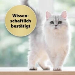 Felisept Home Comfort Nachfüller 45ml -Catit Verkaufsgeschäft caf8bdd319326ad4f481de1e79b9c99dd7d55926 1667496 3