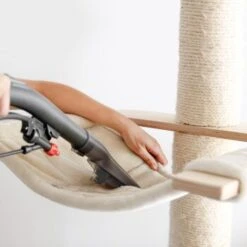 THOMAS AQUA FleckWasher -Catit Verkaufsgeschäft d0f5e8f3d8704727ae9f8d622c7075b7c423576b 1652086 de DE 2671b0968ff1af964b9b936f18c15a3e715921d8OZmc0o