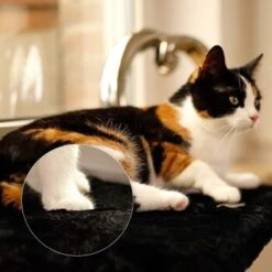 Catit Verkaufsgeschäft -Catit Verkaufsgeschäft d381822ef5a95c89b1fff706447b9d97f29f0c7f 1665905 de DE 5457dd2248cdfada4018574e89708e1db05800ecjUEbgx