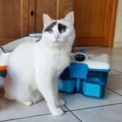 THOMAS Staubsauger -Catit Verkaufsgeschäft d74e3cdb93ec3dcec33da8a346880210d1823b1e 1406733 de DE 817045830cc32e31da1f6ec74c9727ecafc6b086XIONN0