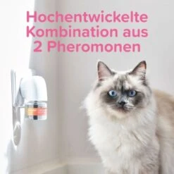 Beaphar CatComfort Excellence Starter-Kit 48ml -Catit Verkaufsgeschäft dc9c523dc7185c6fb064dba2b9c7de82f17a2005 1416646 1 5