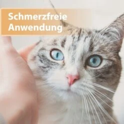 Felisept Wundgel 20ml -Catit Verkaufsgeschäft e40e3e95a03fb00c1318f0e5b318422377d5a3ac 1396291 de DE e6f6116196c434f816ff510902765d32eaff788cDpbYBX