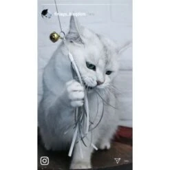 Kater Kasimir Premium Katzenangel Mit 4 Handgemachten Anhängern Aus Naturmaterial -Catit Verkaufsgeschäft e6fe48d27b82d48675d665ee2a143e3c11de2fd9 1408150 de DE b29a5f7f2530ce6388e16e2600369d70b2ec0350kYn6B8