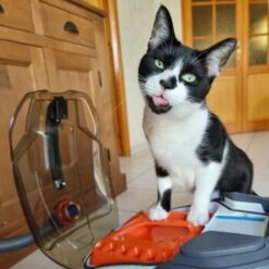 THOMAS Staubsauger -Catit Verkaufsgeschäft e924a64d06d1776c60effa6ed643bd7a6c20fdca 1406733 de DE 08e20bea72feee79416abcd48fd6e6a61e2fc6eav4kQrJ