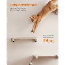FEANDREA 3st. Clickat Katzenbrett Für Die Wand -Catit Verkaufsgeschäft eff0845c1d39f1df06ac9b2fea5543f13b924fe7 1681458 de DE 49f3284dc1e7752ec473d61a07cc5870214b52015wNOhn