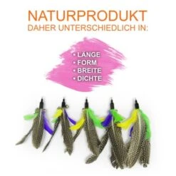 Schlitzohr Katzenangel Federanhänger 5x -Catit Verkaufsgeschäft f6a96b93601c3b2f6f7420ade3ecfe56542cca74 1484675 de DE b1d2fd29ad67016b9a6af908251d348edfa467f2BG8aWR