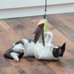 Schlitzohr Katzenangel Federanhänger 5x -Catit Verkaufsgeschäft fb09936ea9d25b4ceb7b2f0b88286c91e6ede665 1484675 de DE 706999394aba568bf156a2aea623d154b845a9f55pZfqW