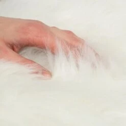 Canadian Cat Company Filzlounge AVA Beige M -Catit Verkaufsgeschäft fd8b746ad0dc996bb62efc39f6c670f6be8df30e 1360999 de DE c86a4e6d9ceba2c1e55f3f753eeda095c89215723XoDPL